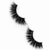 HOLLYWOOD LASHES