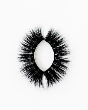 HOLLYWOOD LASHES