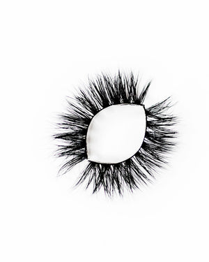 WALK OF FAME LASHES